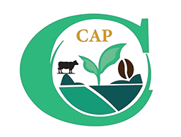 Century Agro Processing